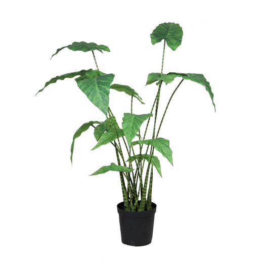 Kunstpflanze Alocasia Zebrina, H 1000 mm