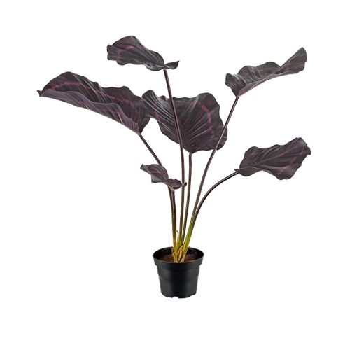 Kunstpflanze Calathea burgunder, H 550 mm - klein