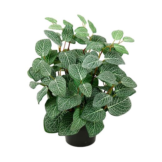 Kunstpflanze Fittonia Mosaikpflanze, H 340 mm - klein