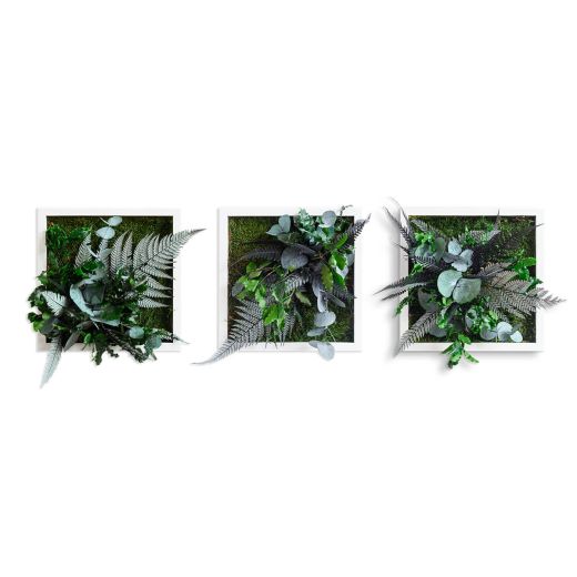 Pflanzenbild im Dschungeldesign 3er Set - styleGreen